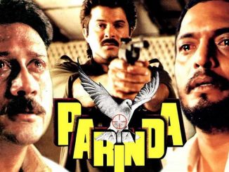 Parinda (1989) 720p | 480p WEBRip Hindi (DD 2.0) x264 1.4GB | 450MB